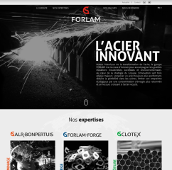 FORLAM Group